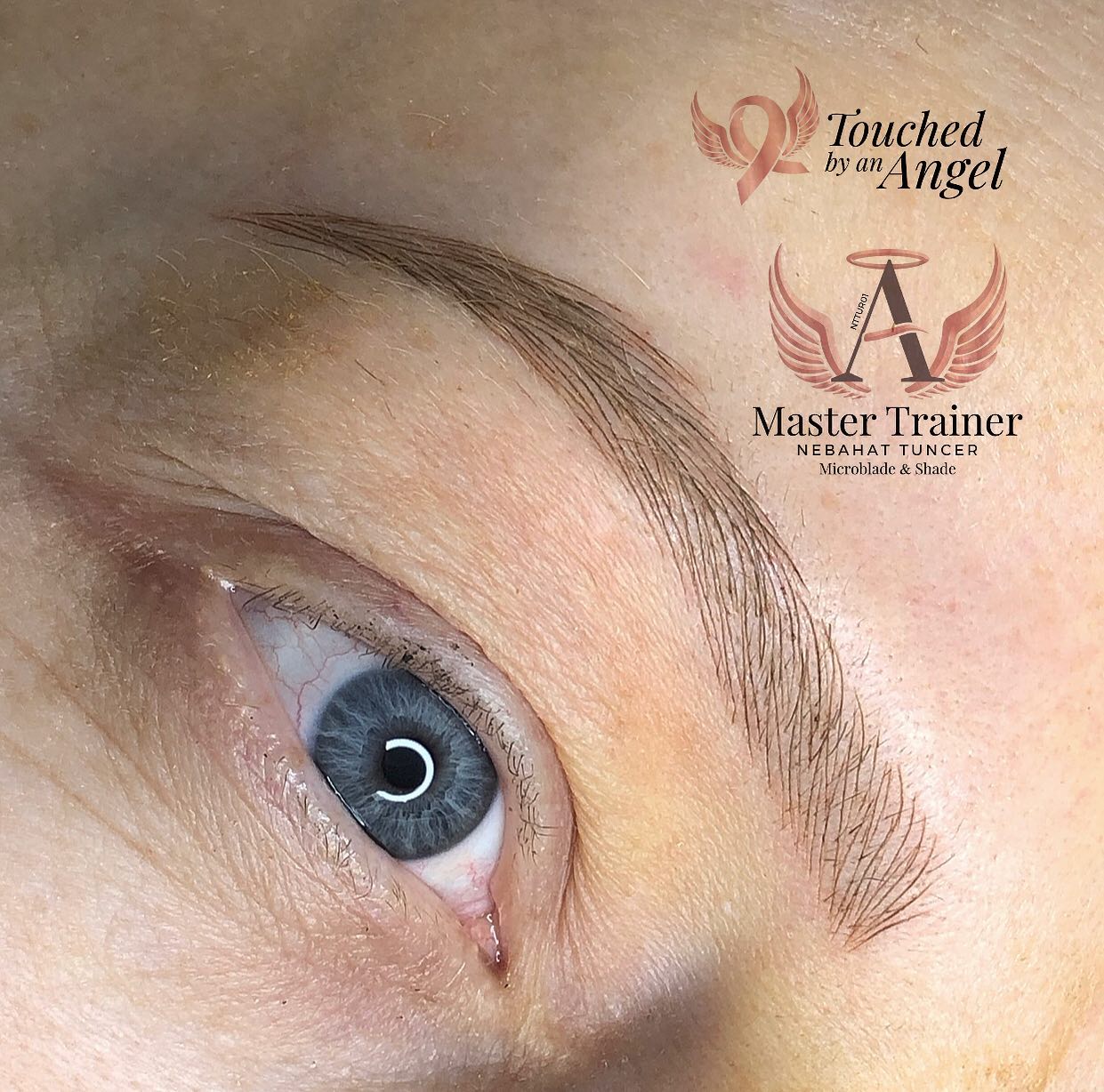 65879773_147565416426149_3419058443170189239_n